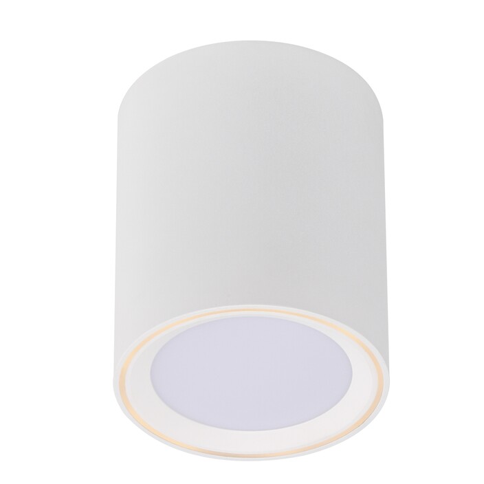 Valcové stropné svietidlo Fallon od Nordluxu s prepínačom intenzity svetla (biela, biely krúžok)